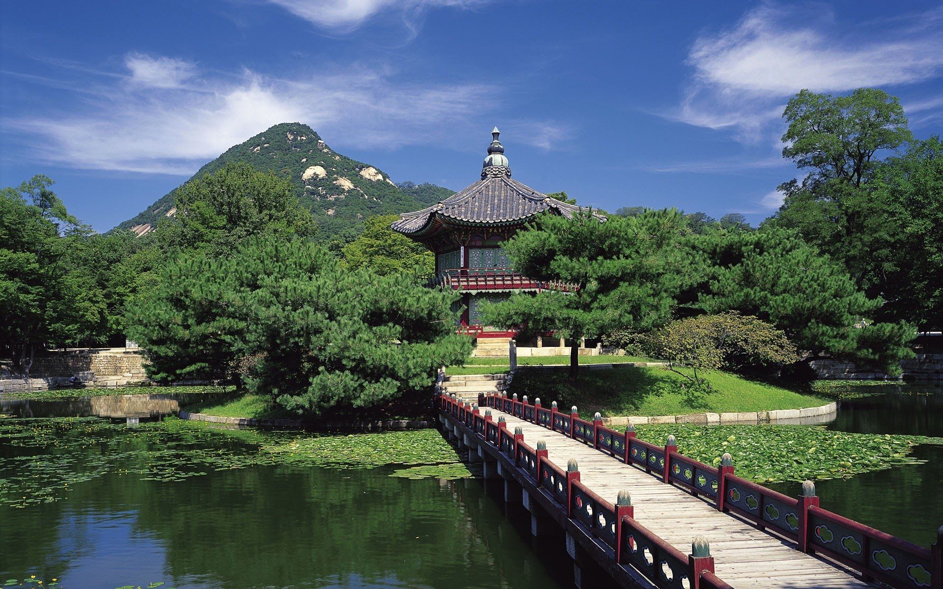 Jeju Island: Surga Tersembunyi Korea Selatan yang Wajib Kamu Jelajahi!