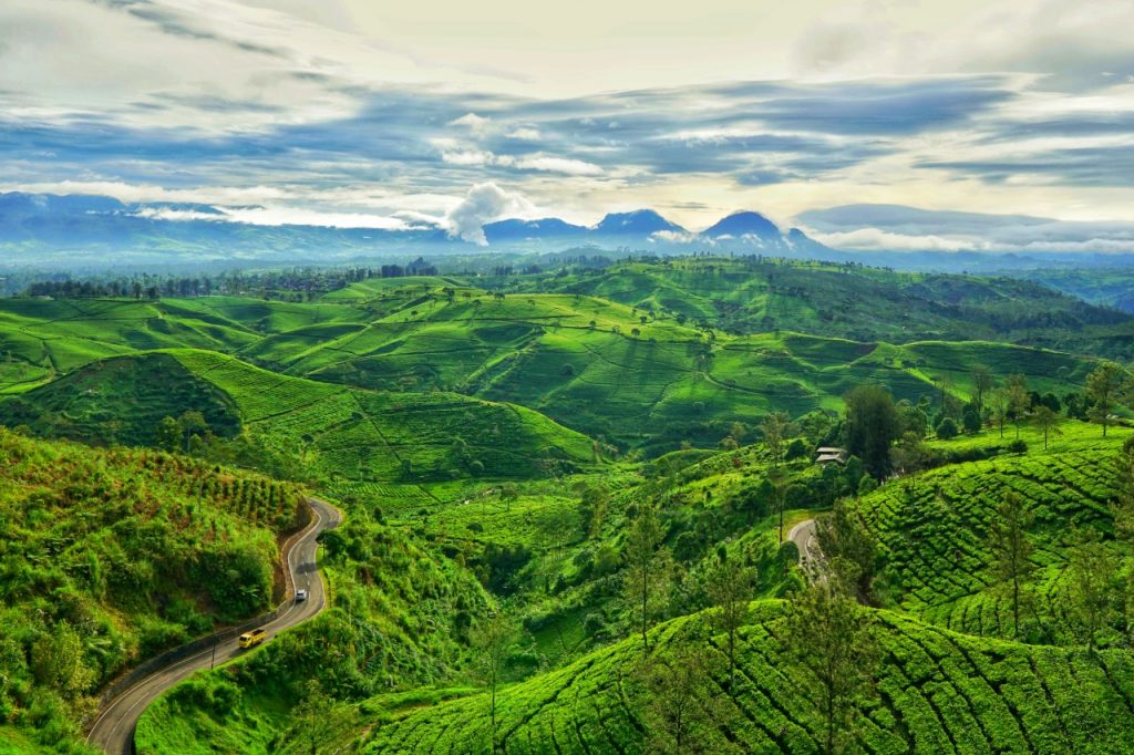 Nikmati Keindahan Alam di Wayang Windu Bersama BOI Tour & Travel