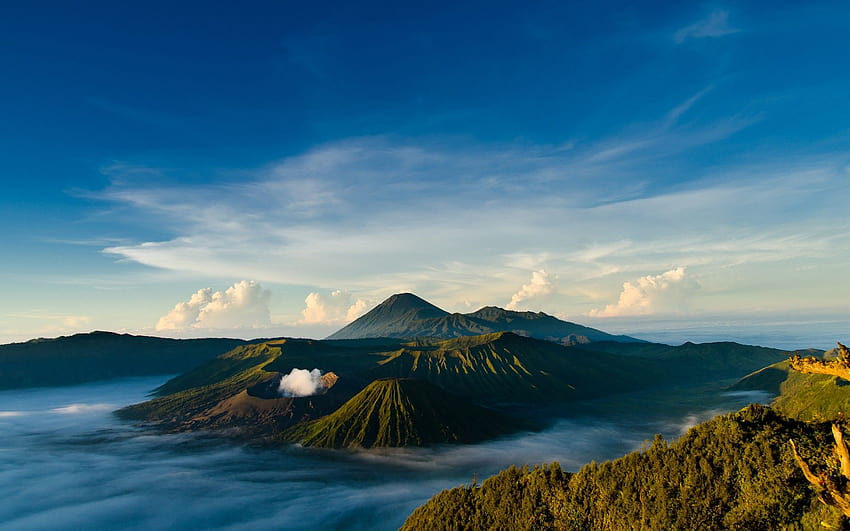 Pesona Magis Dataran Tinggi Dieng: Liburan Tak Terlupakan Bersama BOI Tour & Travel