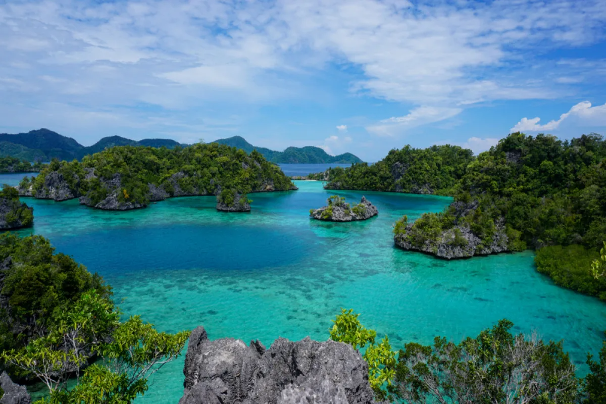 Pulau Sombori: Surga Tersembunyi di Sulawesi Tengah, Eksplorasi Keindahannya Bersama BOI Tour & Travel!