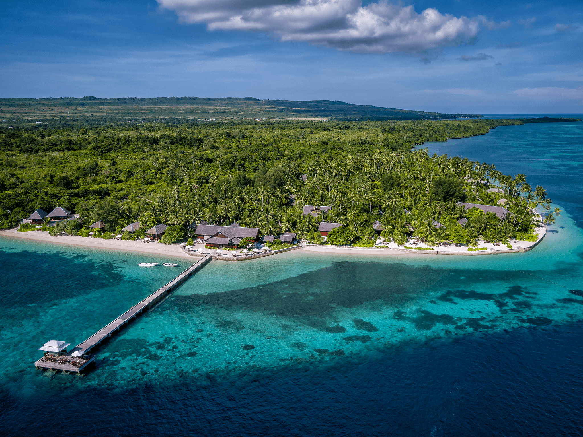 Wakatobi: Surga Tersembunyi dengan Keindahan 90% Terumbu Karang Dunia!