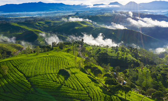 Pesona Alam Ciwidey: Surga Tersembunyi di Jawa Barat Bersama BOI Tour & Travel
