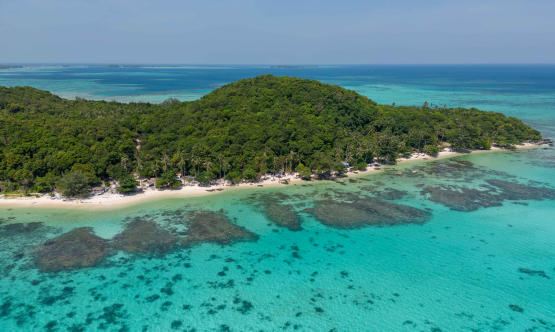 Petualangan Eksotis di Karimunjawa: Menyelami Keindahan Laut dan Alam Bersama BOI Tour & Travel