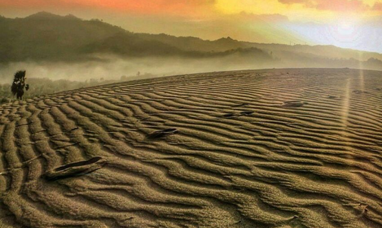 Gumuk Pasir Parangkusumo
